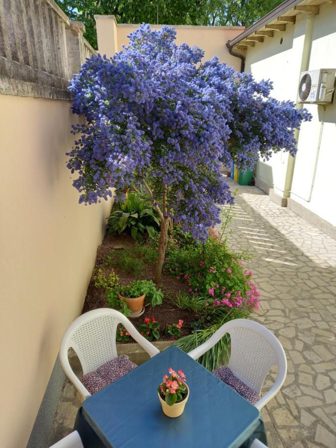 Apartment Punta Pula Exterior photo